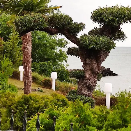 каса реал с 2 спальнями 2 этаж * スヴェティ・ヴラス